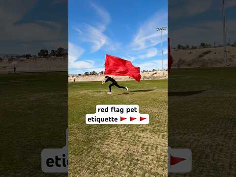 red flag pet etiquette