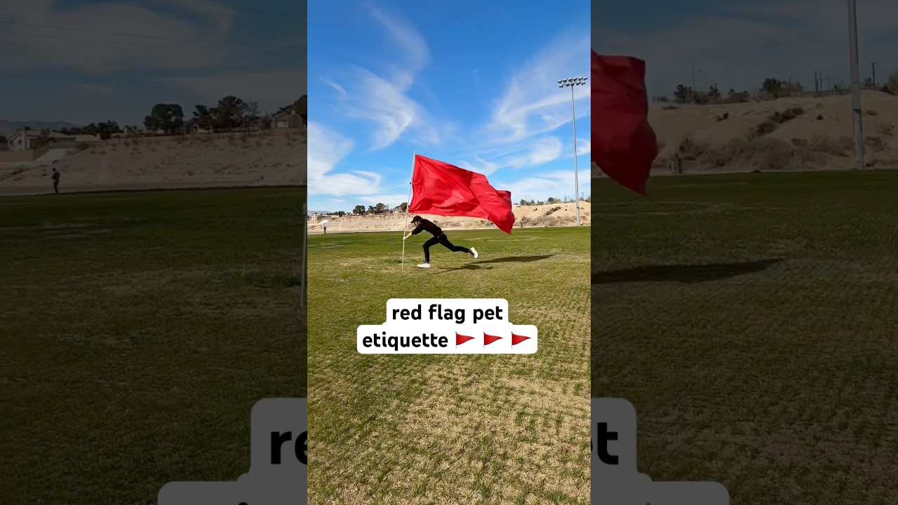 red flag pet etiquette
