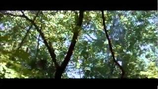 Arcade Fire- Abraham&#39;s Daughter (The Hunger Games)