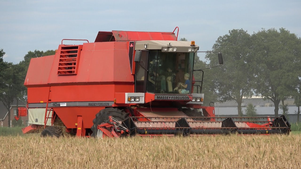 Gerst oogst bij Kamphuis - voor het eerst met hun eigen Massey Ferguson 40RS combine (2024)