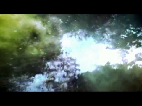 Essence Of Trance (Non Stop Vol. 4)   -PART 3-