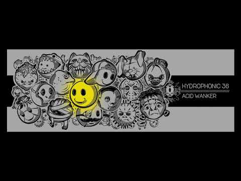 Hydrophonic 36 - Acid Wanker - B2 - Rupture