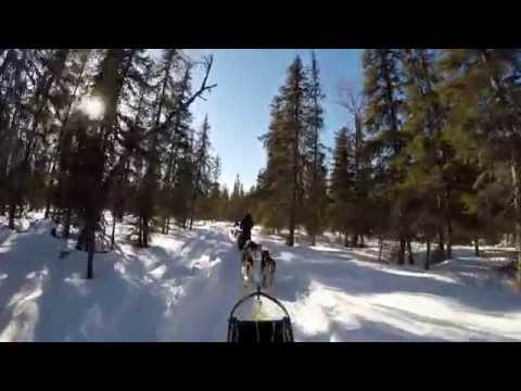 Mush down from the Reivo