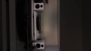 Steve Earle "Are you Sure Hank Done it This Way?"