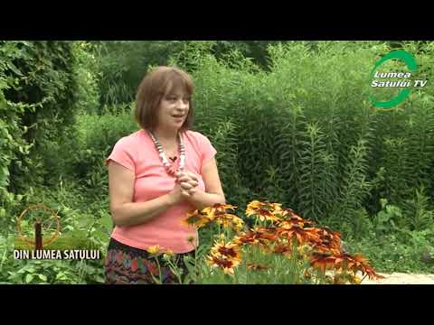 Emisiunea "Din Lumea Satului" - 16 iunie 2013