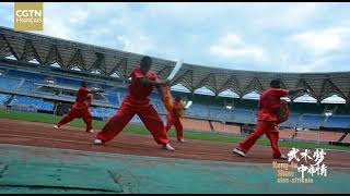 Download lagu Tanzanian Wu Shu National Team presents Shaolin Fist and Tai Chi Fist(China-Africa Kung Fu Show) mp3