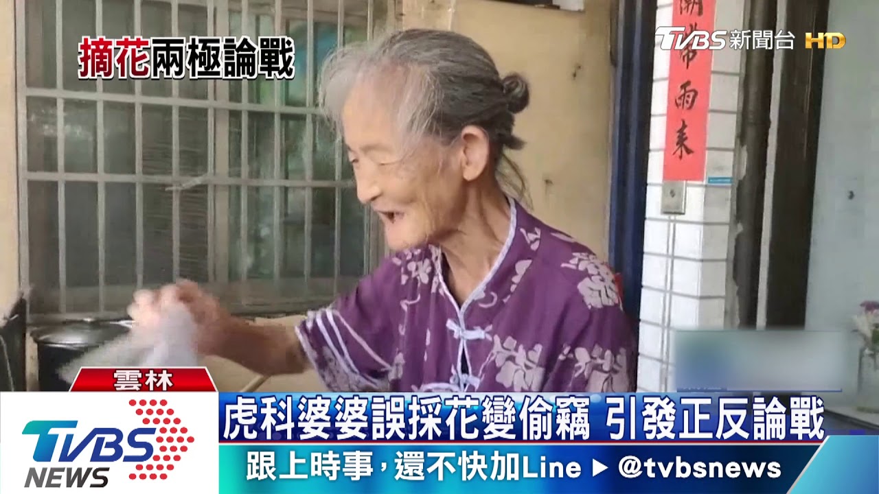 虎科婆婆誤採花變偷竊 引發正反論戰