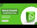 WhatsApp Marketing Tool | Unlimited Free Whatsapp API | Rapbooster