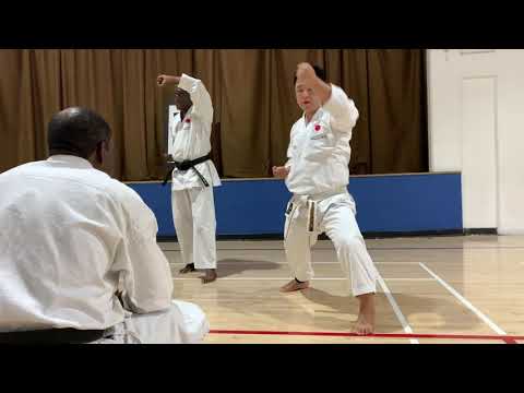 Nemoto Sensei explains stepping rising block reverse punch