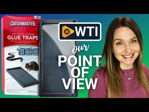 Catchmaster Glue Mouse Traps Indoor for Home 10PK - WTI product video review