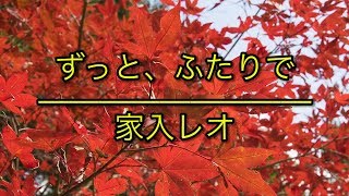 ずっと、ふたりで（一直、兩個人）- 家入レオ（家入里歐 ）｜「愛してたって、秘密はある。（即使愛、也有秘密）」主題歌（フル）/ 歌詞付き