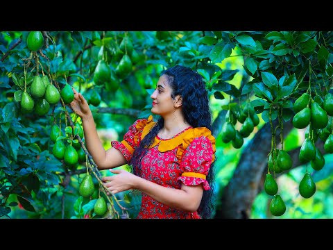 Avocado Orange Salad