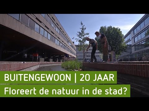 Floreert de natuur in de stad? | BuitenGewoon 20 Jaar