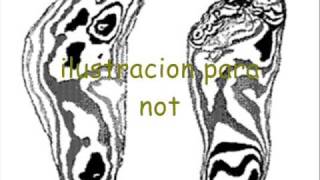 Defectos en la teoria de la evolucion/seres humanos