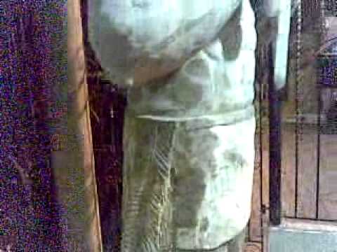 CREATIVIDAD ZONERA, A LO TUCURINQUERO