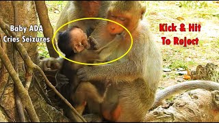 Poor Baby Monkey Cry Mom Weaning Milk | Mom Angel Kick &amp; Hit Her Baby Ada To Reject Milk