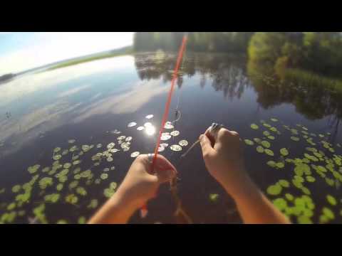 Viikonlopun alku tunnelmissa