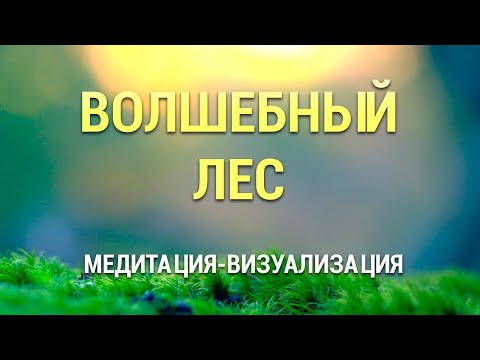 Медитация для Сна 😴 Визуализация Волшебный Лес 🌳 Осознанный Сон 🎵 Медитация с Музыкой