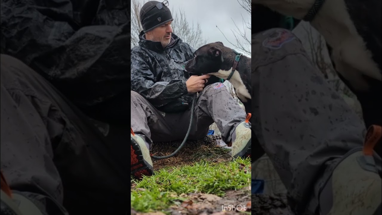 Enlarge Ansel, a ADOPTABLE Pit Bull Terrier in Chicago, IL video 5/5