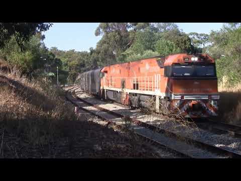 Great Southern at Mitcham