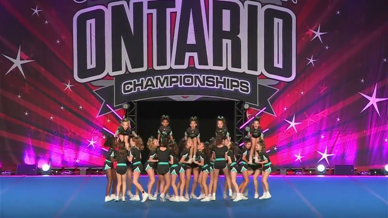 Cheer Sport White Cheek Sharks Cheer Evolution 2024 Ontario Championships Day 2