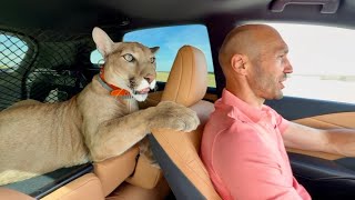 Пума Месси раздал автографы детям! Лекция детям часть 2.