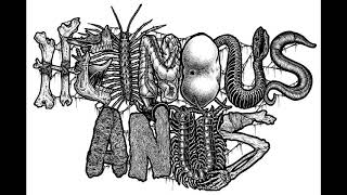 Heinous Anus - Demo 2018