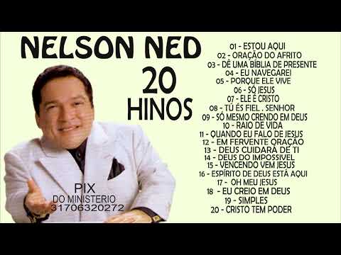 AS 20 MELHORES DO CANTOR NELSON NED