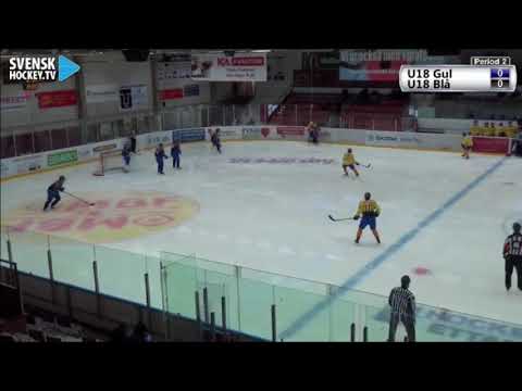 Victor Östman (Blue) @U18Elitcamp 14 dec 2017