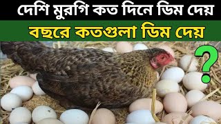 ভিডিও থাম্বনেইল