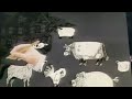 Sesame Street Hand Drawing Farm