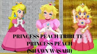 Princess Peach Tribute - Princess Peach (Shawn Wasabi)