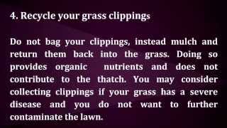 How to Look after the Lawn of Your South Tampa Home This Summer