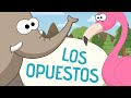 Canción De Los Opuestos Canciones Infantiles Toobys
