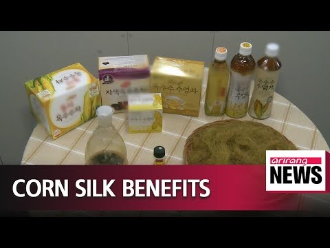 Local scientists find out corn silk helps repair prostate symptoms