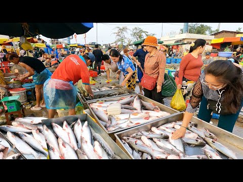 Ever Seen Khmer Fish Market Scenes - Huge Fish Distribution Site in Phnom Penh City
