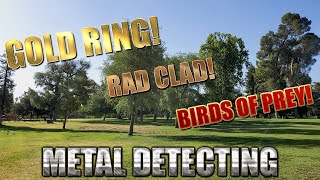 Metal Detecting: Minelab Equinox 800 - Gold Ring Park Hunt!