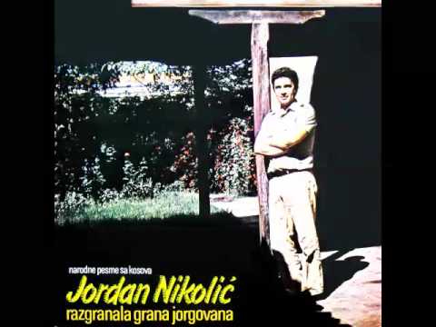 Jordan Nikolic - Razgranala grana jorgovana