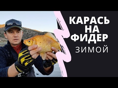 Фото Ловля карася зимой на фидер.