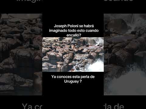 Cabo Polonio , Drone shots 4K Mavic3pro, Rocha Uruguay