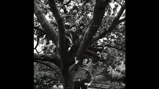 The Creation - Sylvette [Full Length Version]