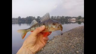 Тиога лаки джон 2 дюйма