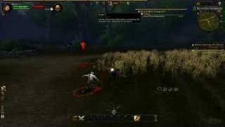 Warhammer Online: Age of Reckoning Gameplay