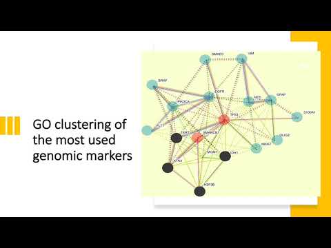 GLIOBLASTOMA MULTIFORME: A META-ANALYSIS OF DRIVER... - Katia Aviña-Padilla - Talk - ISCB-LA 2020