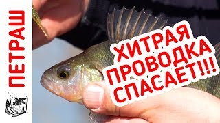 Ловля окуня летом на микроджиг