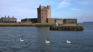 preview picture of video 'Swans Broughty Castle Broughty Ferry Dundee Scotland'