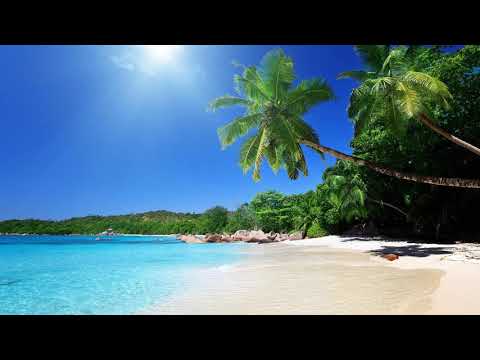 Avi S x Rudeboi x Dopeboi - No Se Da Cuenta (Delano Edit)