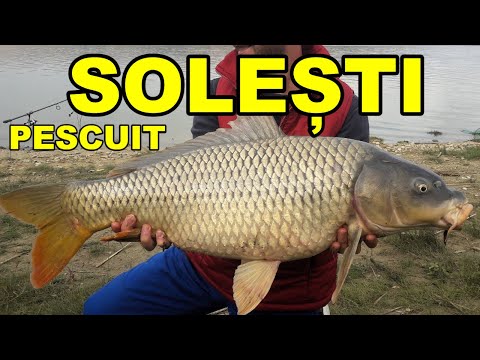 Pescuit baraj SOLESTI Vaslui iunie 2020