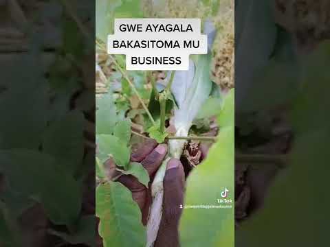 GWE AYAGALA BA CUSTOMER MU BUSINESS