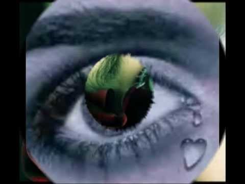 Bofi Radics György -  Meglátni és megszeretni